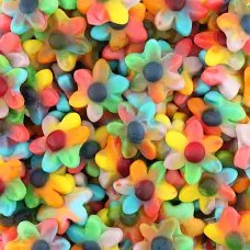 fleurs multicolores